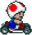 mk-racer-toad